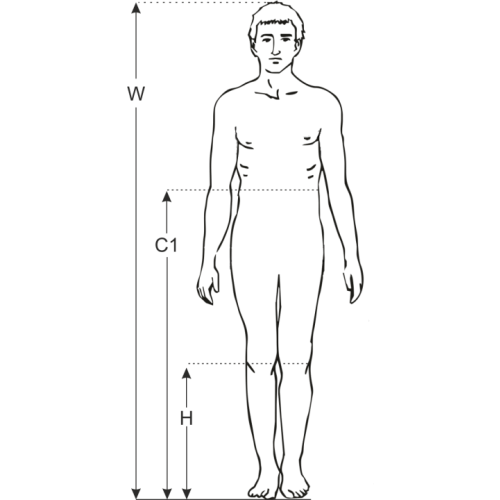 Pionizator statyczny LIFTER™