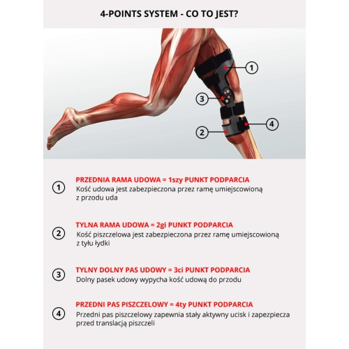 Przednio tylna orteza szkieletowa na goleń i udo z regulacją zakresu ruchomości co 20 stopni RAPTOR/2RA